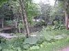 s_PICT0380_thumb.png